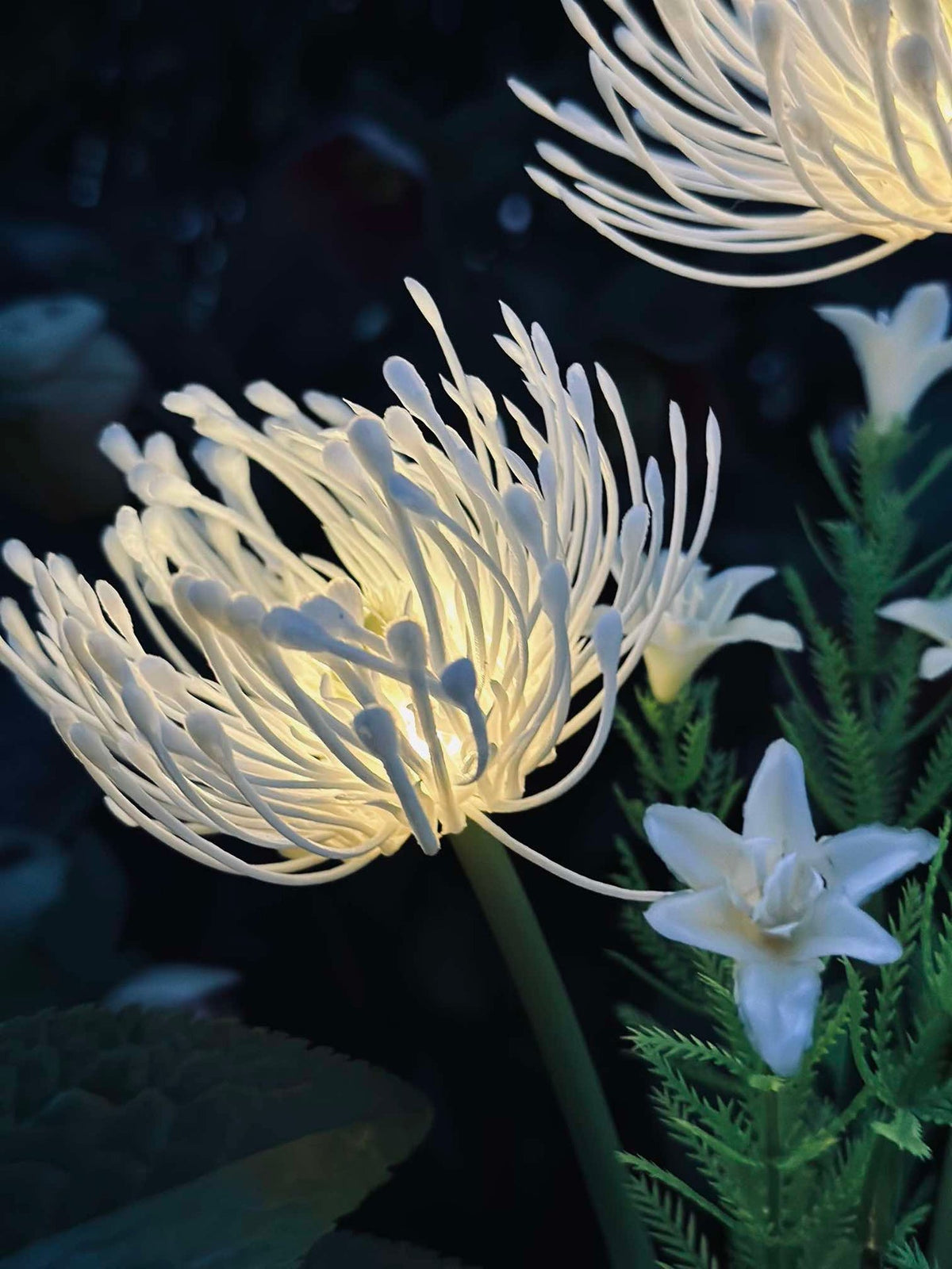 Fleur avec panneaux solaires - Spider Lili blanc