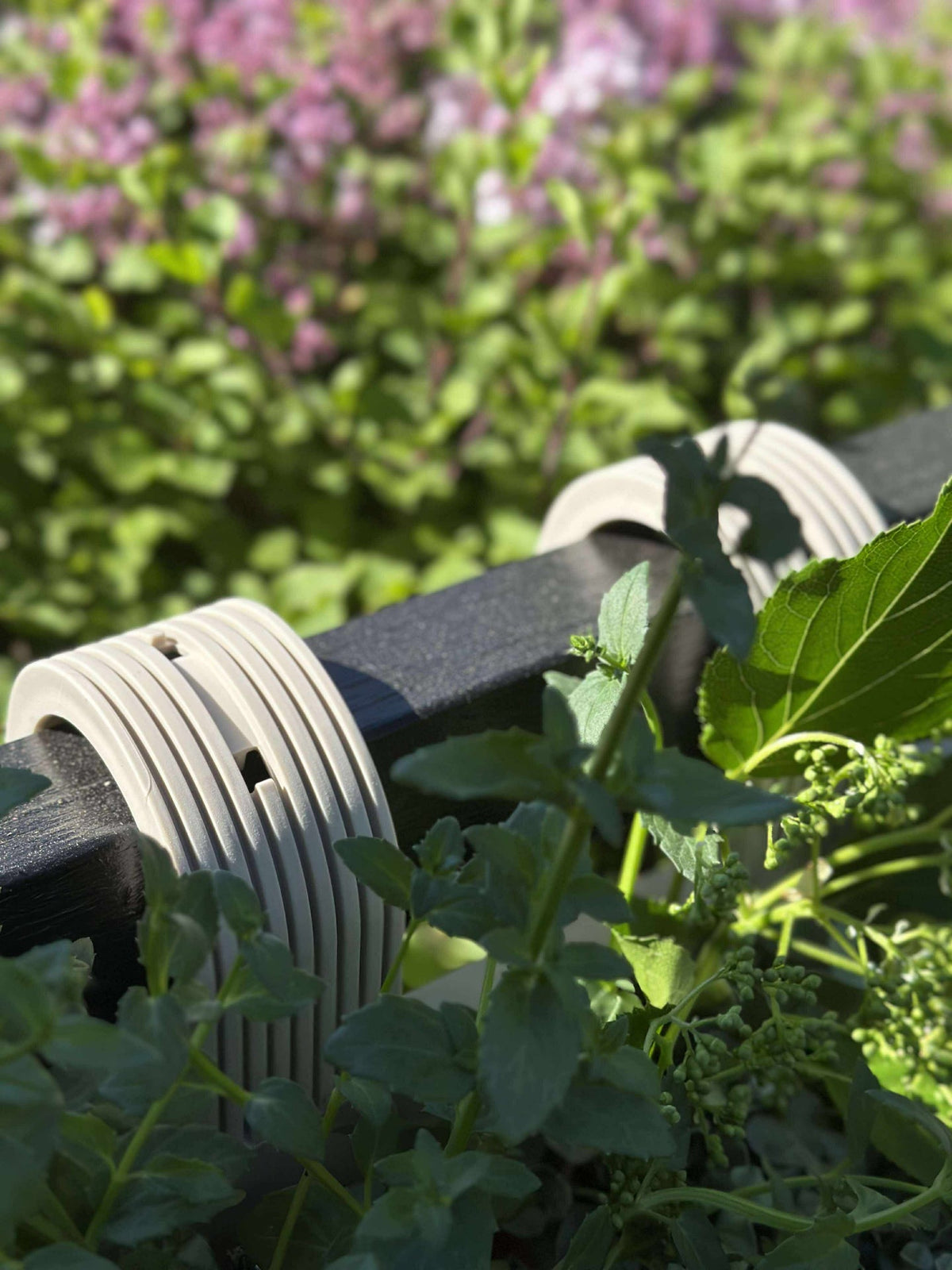 Jardinière avec suspension – Crème