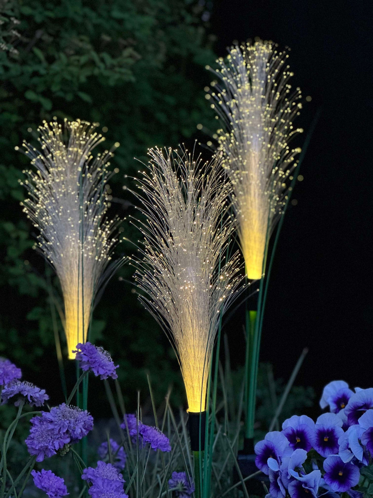 Pampas avec cellules solaires