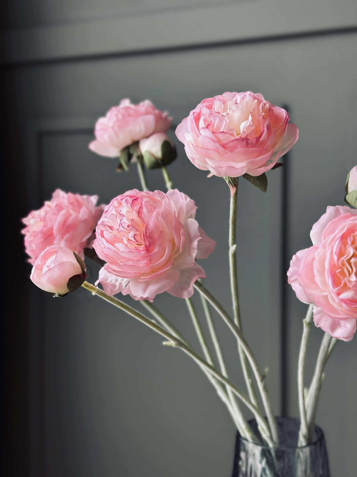 Tige de renoncule - Rose