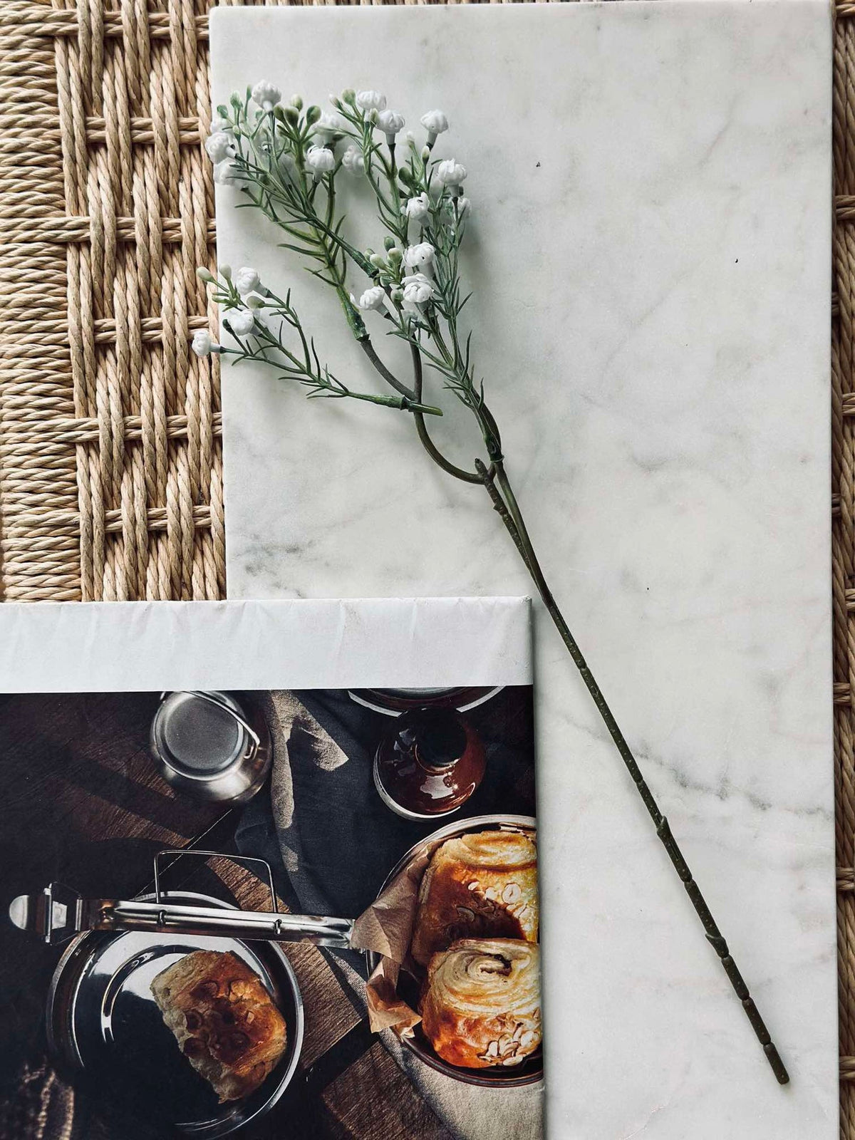 Tige de gypsophile