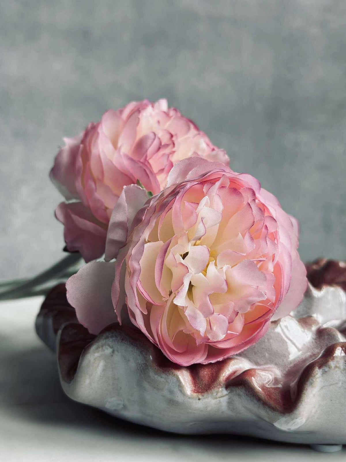 Tige de renoncule - Rose