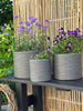 Cache-pot gris - Lot de 3 pièces