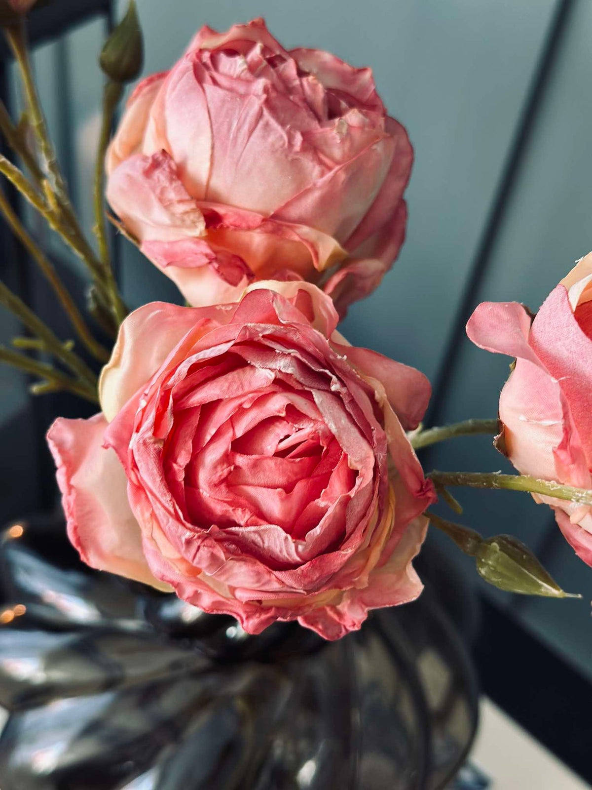 Tige de rose