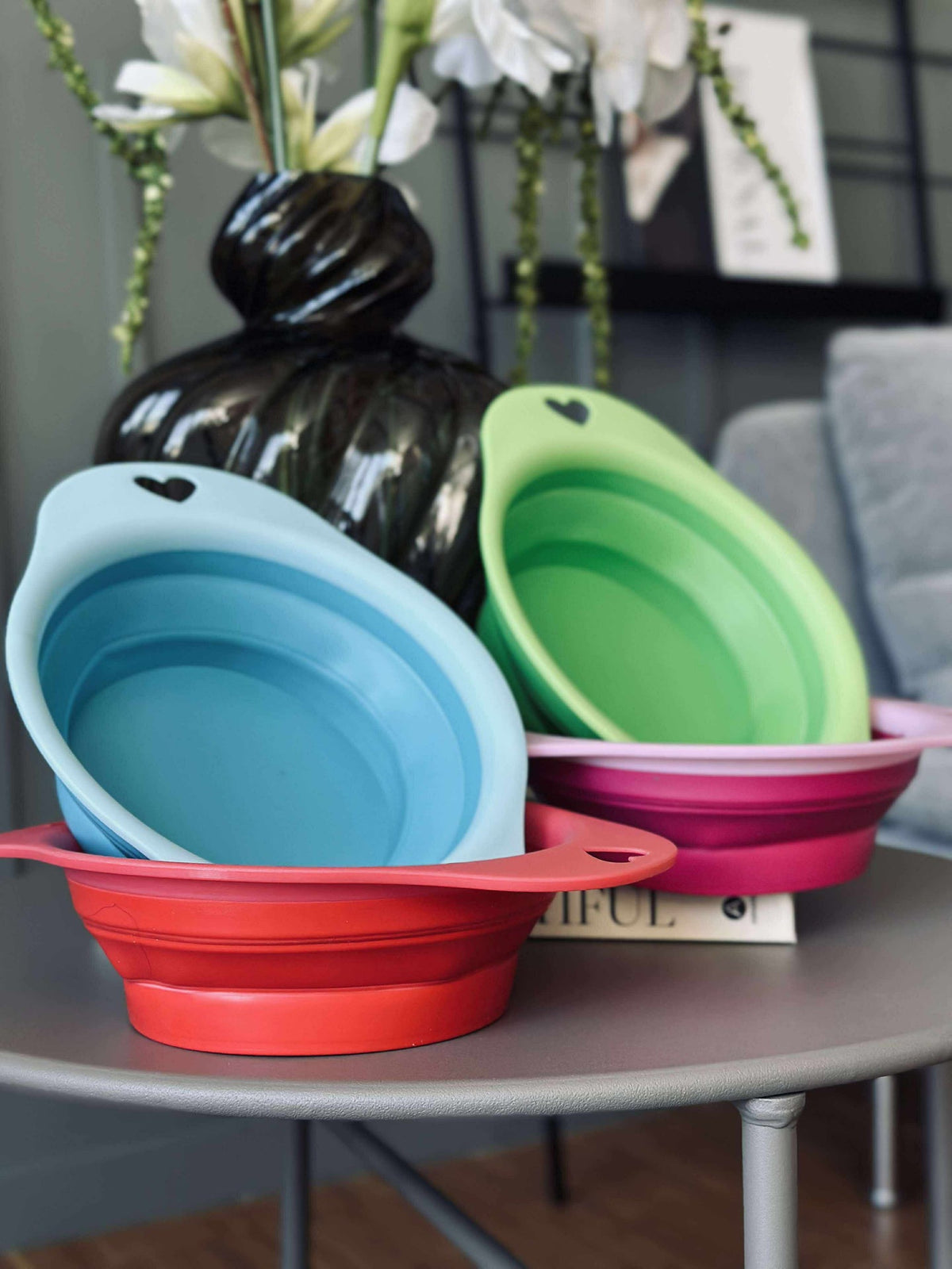 Gamelle Pliable pour Chien - Colormix