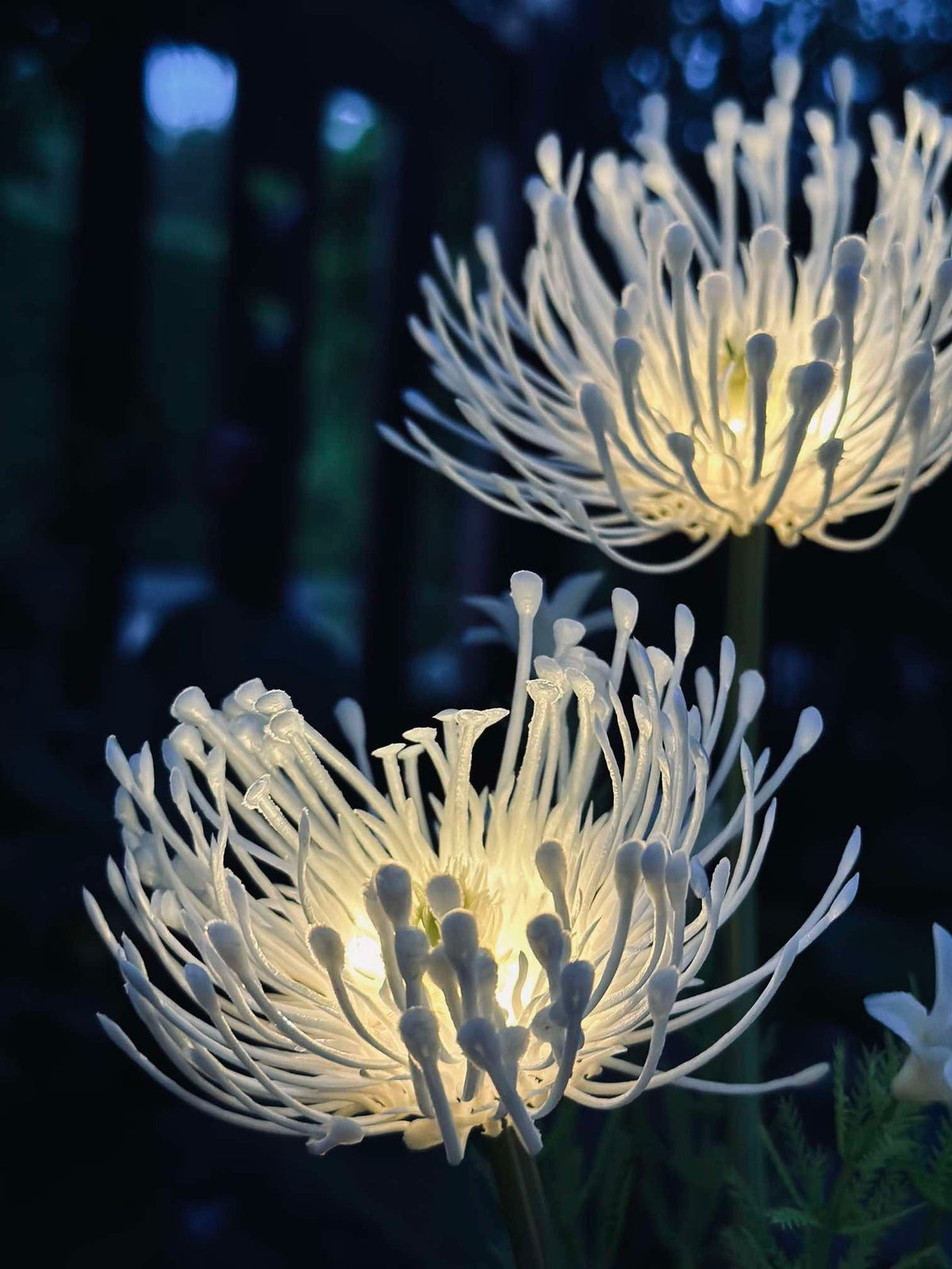 Fleur avec panneaux solaires - Spider Lili blanc