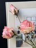 Tige de rose