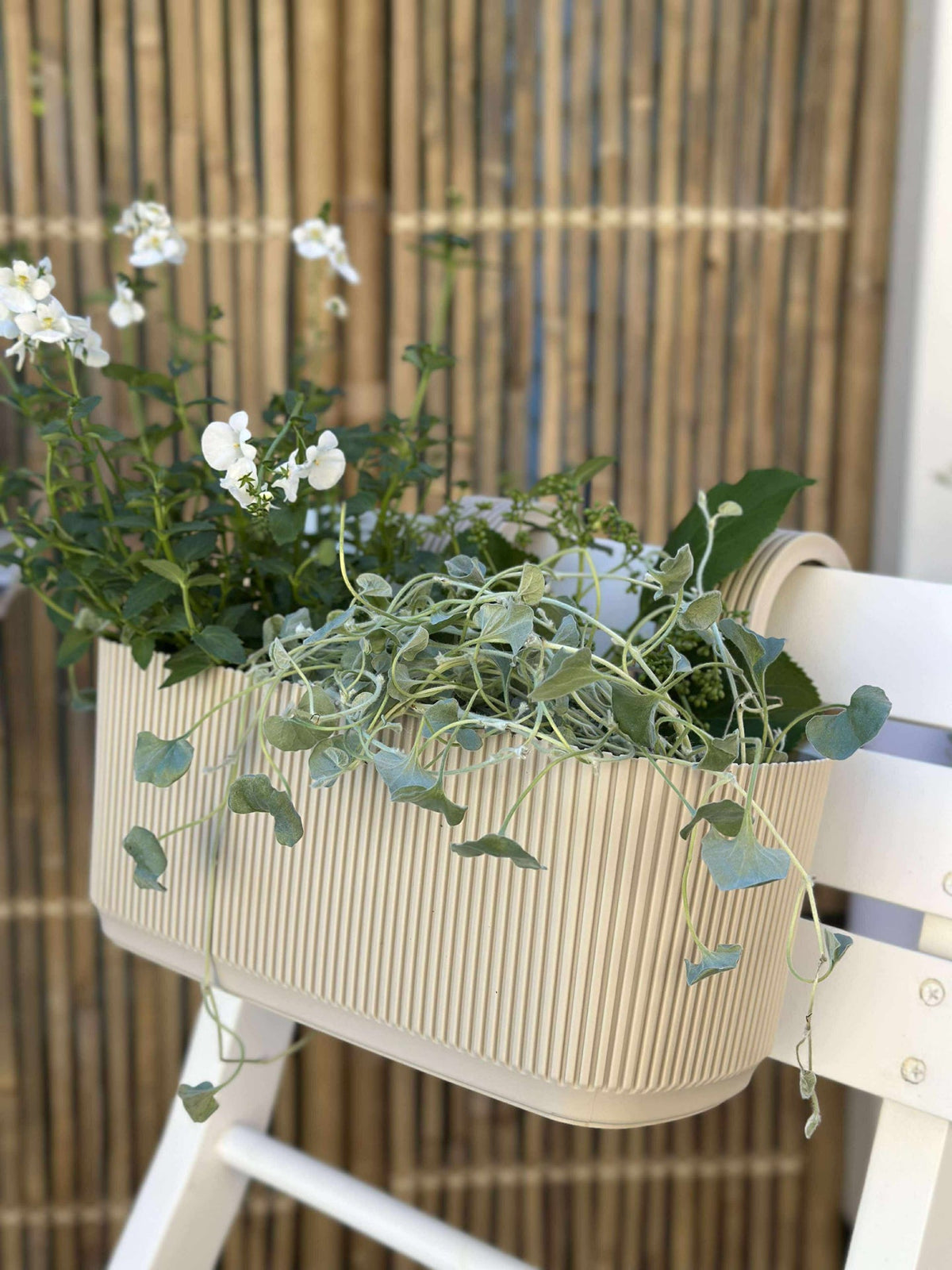 Jardinière avec suspension – Crème