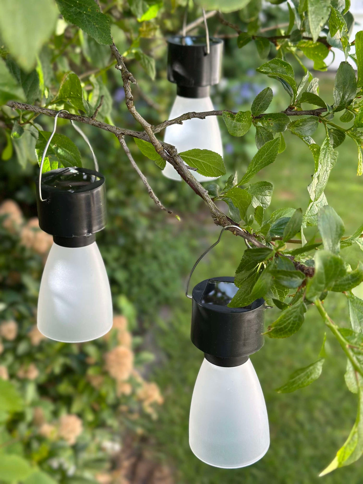 Mini lampe solaire