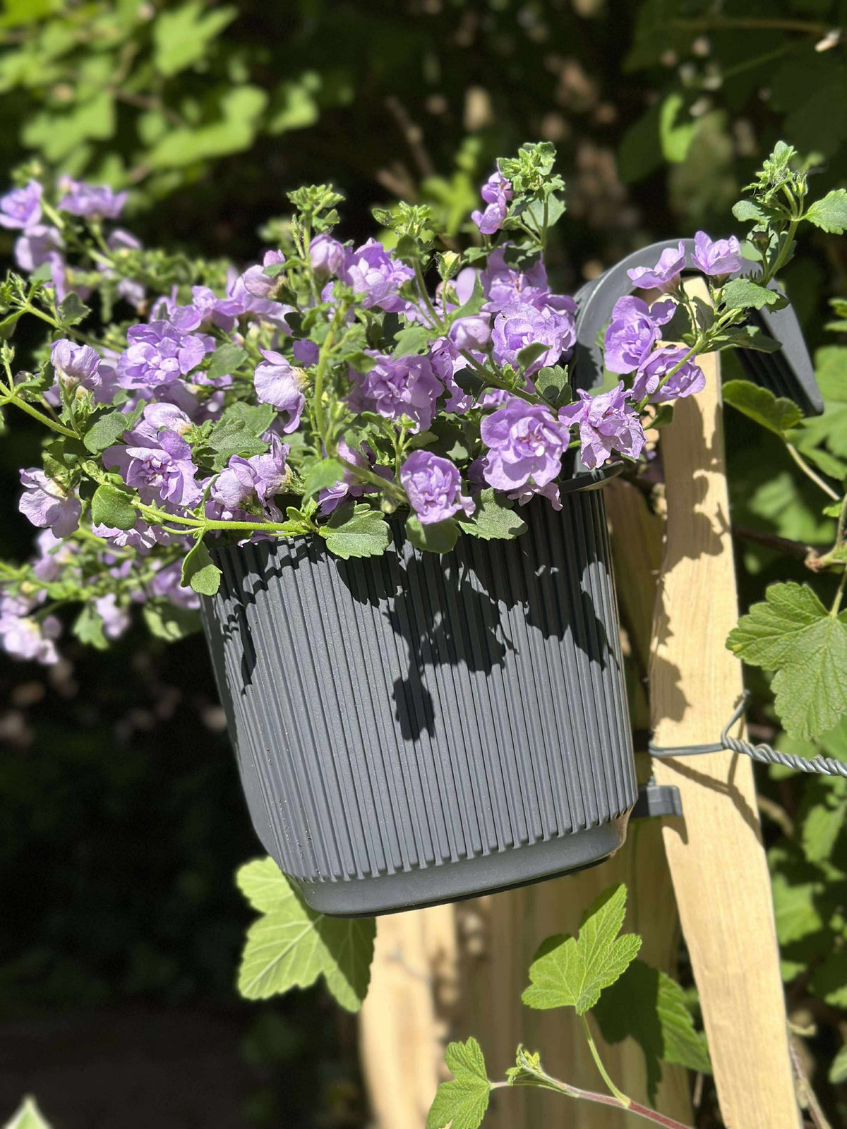 Bac à plantes avec suspension - Anthracite