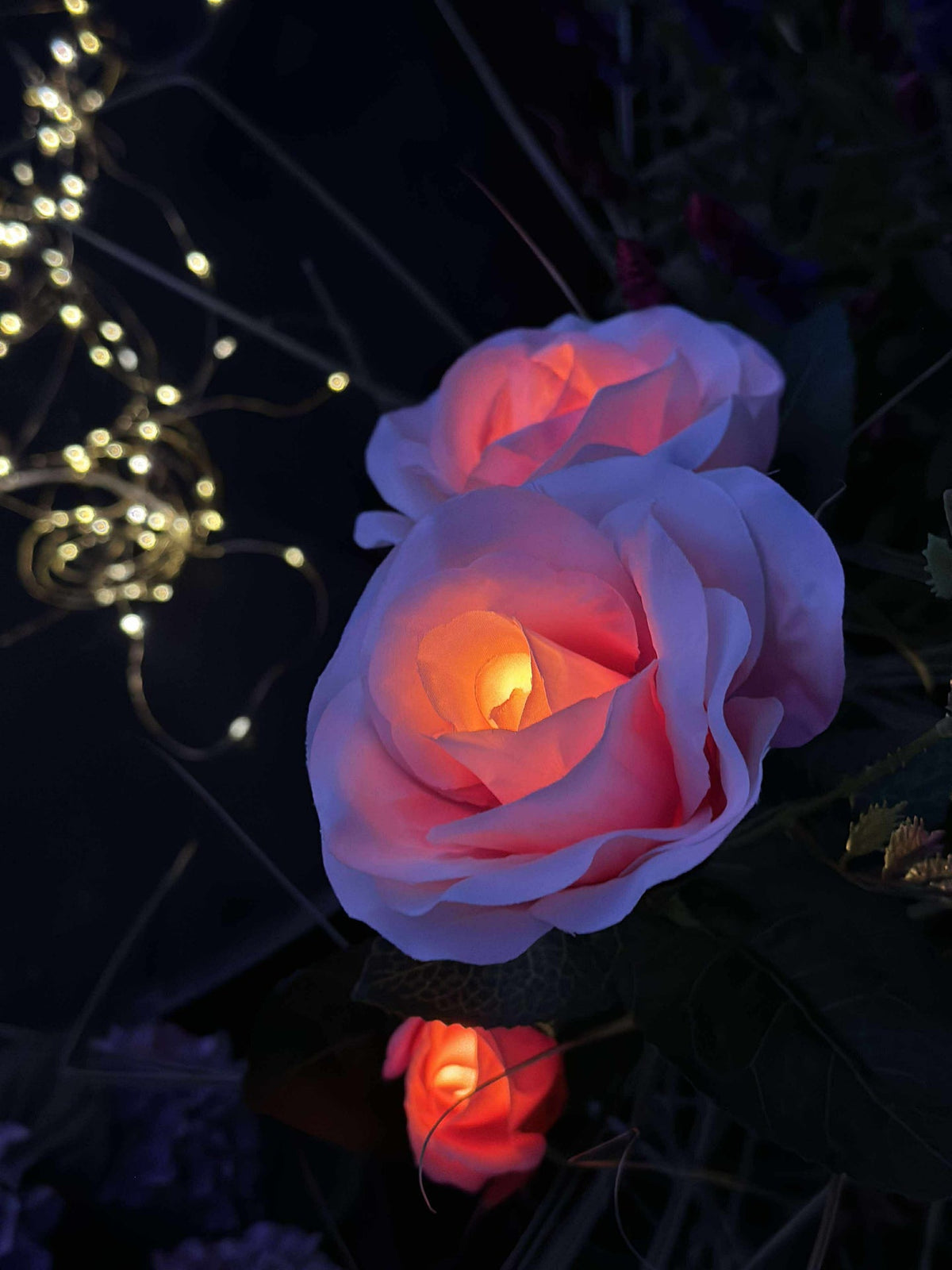 Rose avec cellules solaires - Rose
