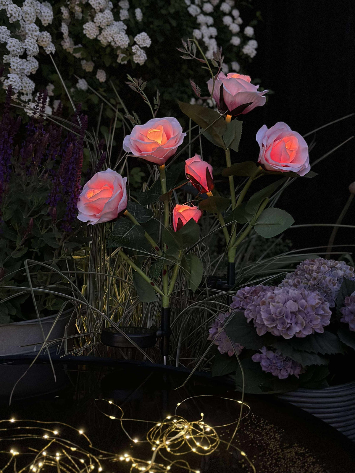 Rose avec cellules solaires - Rose