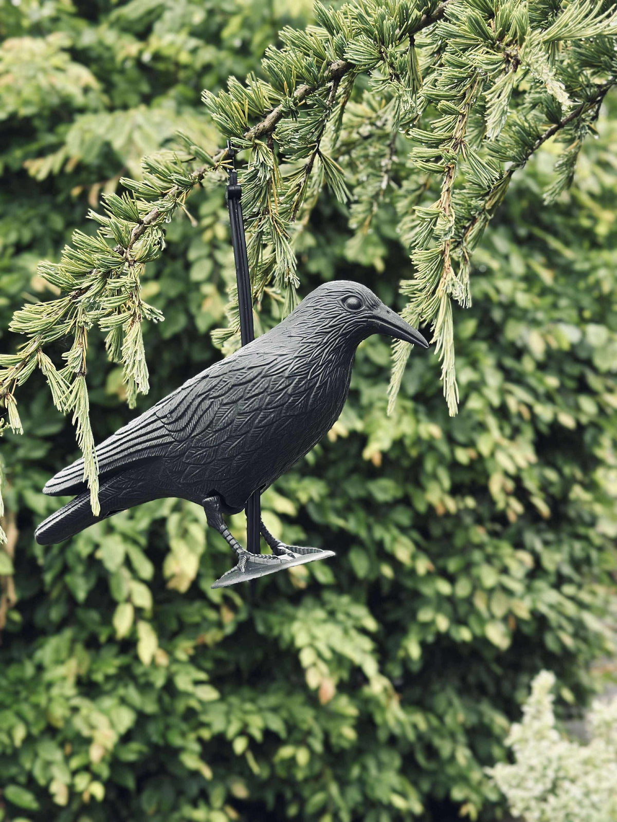 Oiseau en plastique noir
