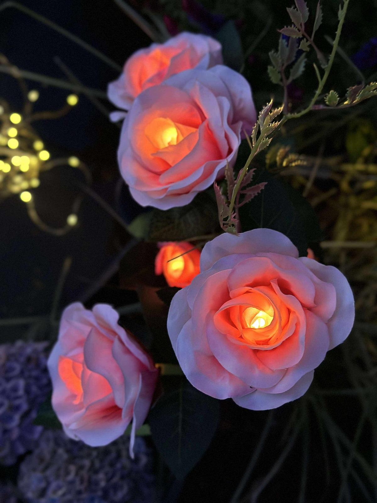 Rose avec cellules solaires - Rose