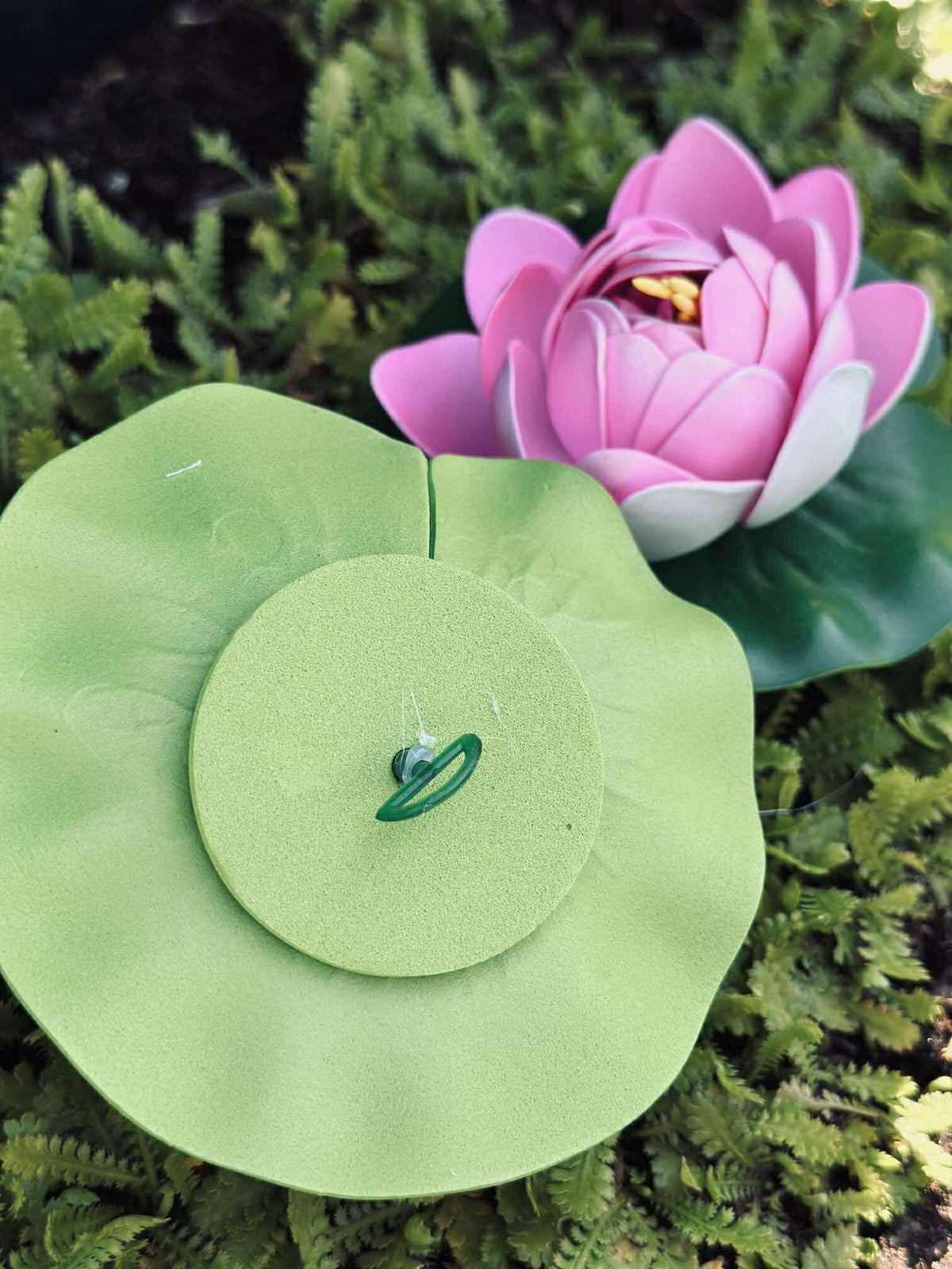 Lotus - Plusieurs couleurs