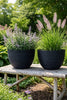 Pot rainuré – Black medium