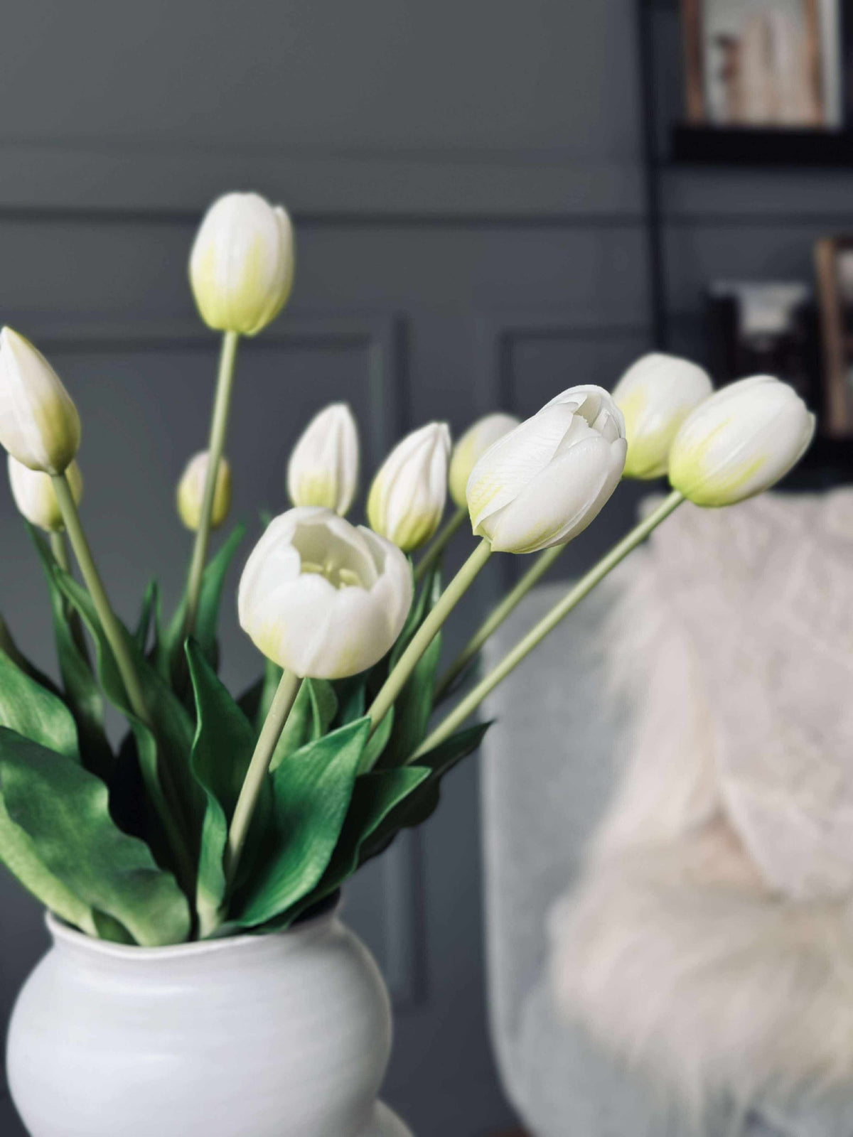 Tulipes – Plusieurs couleurs