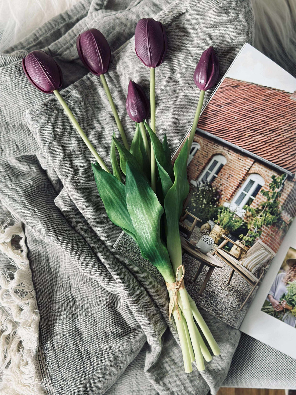 Tulipes – Plusieurs couleurs
