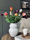 Tulipes – Plusieurs couleurs