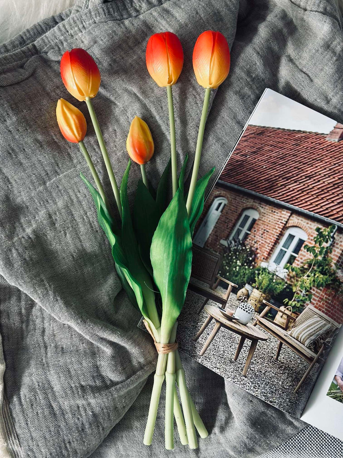Tulipes – Plusieurs couleurs