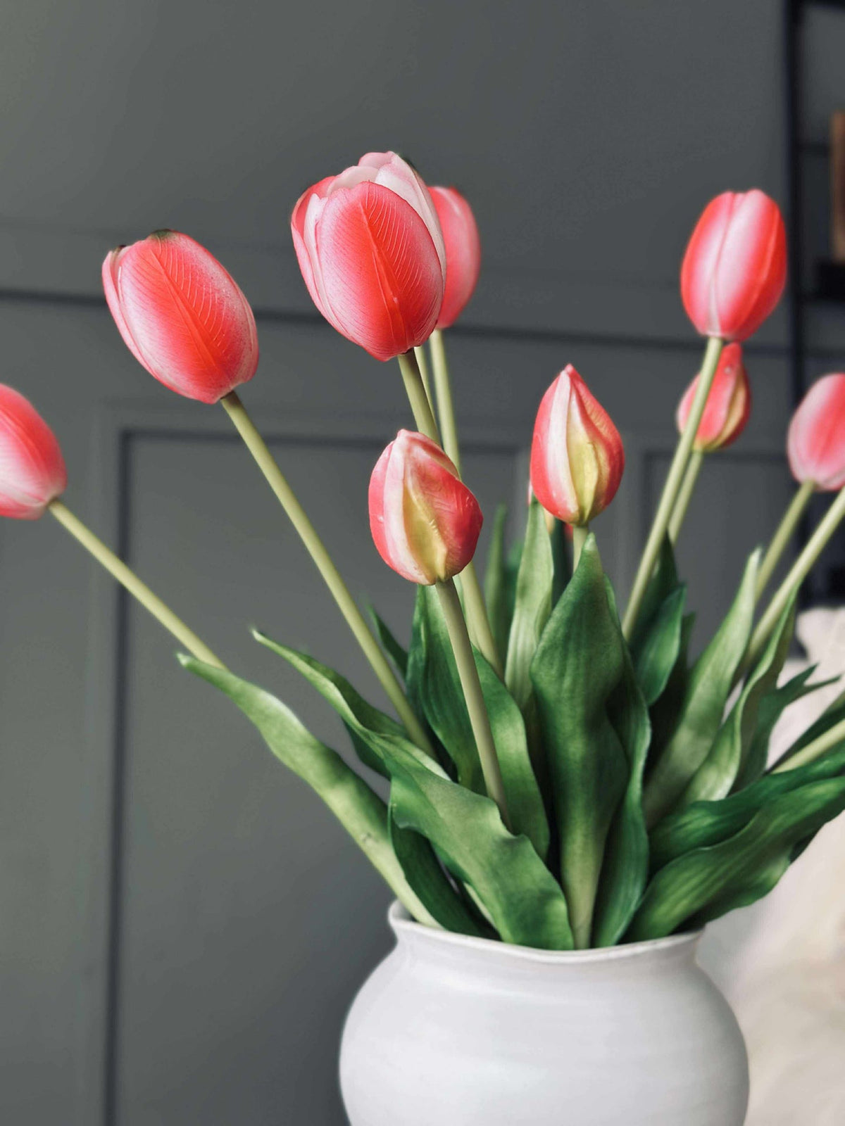 Tulipes – Plusieurs couleurs