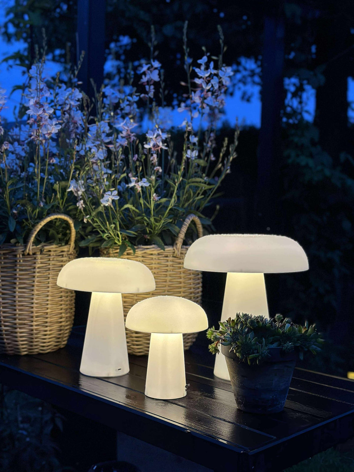 Mushroom rechargeable - XL