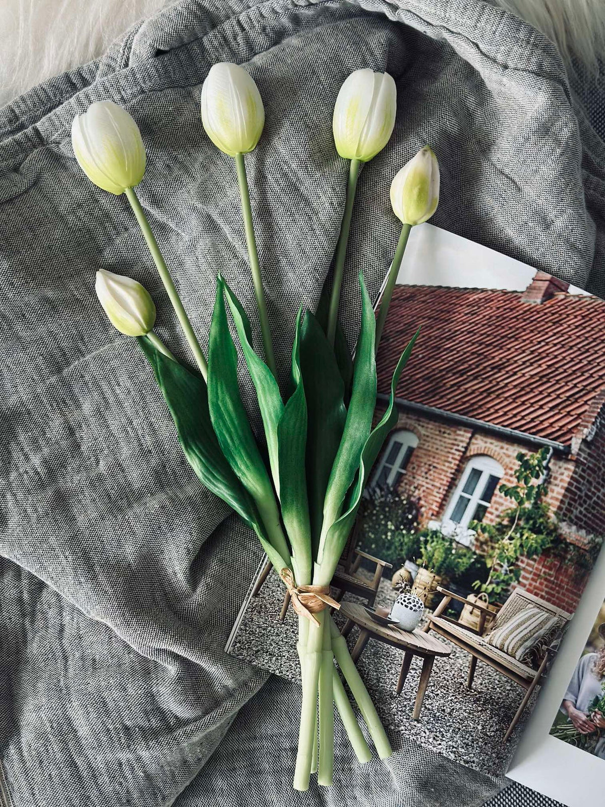 Tulipes – Plusieurs couleurs