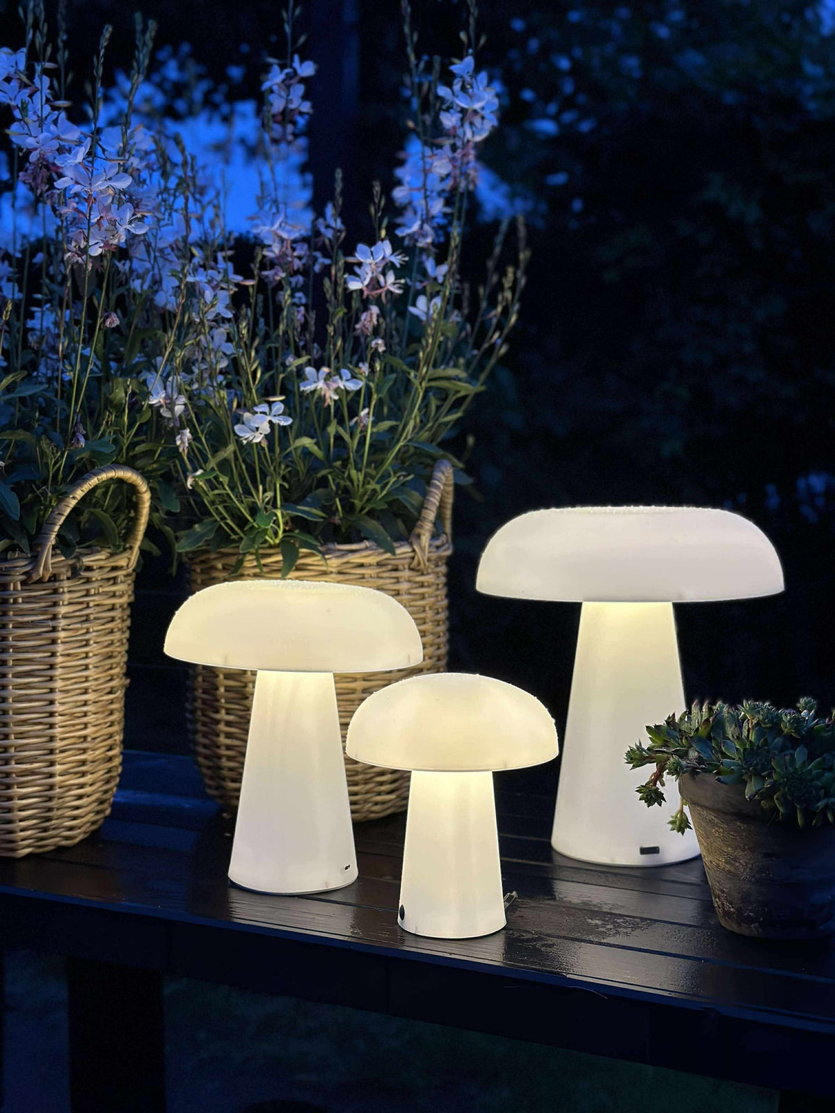 Mushroom rechargeable - XL