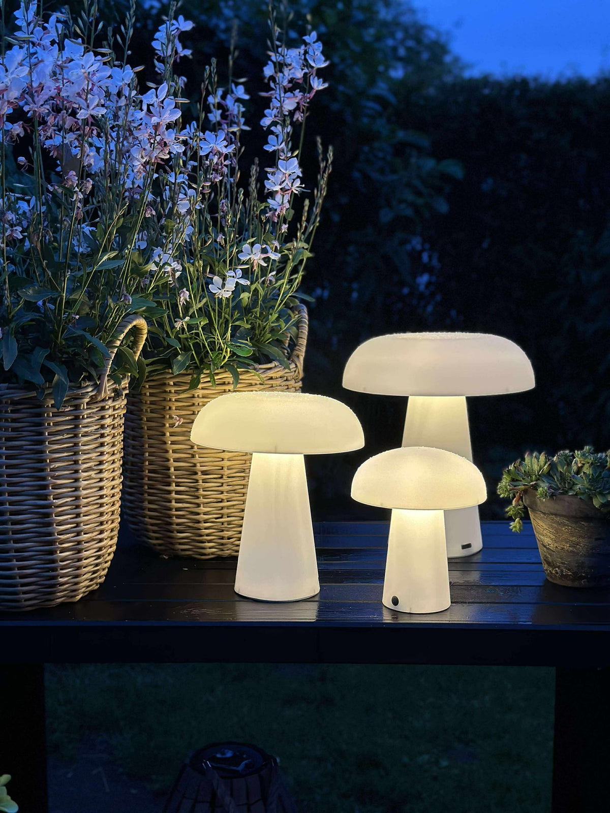 Mushroom rechargeable - XL