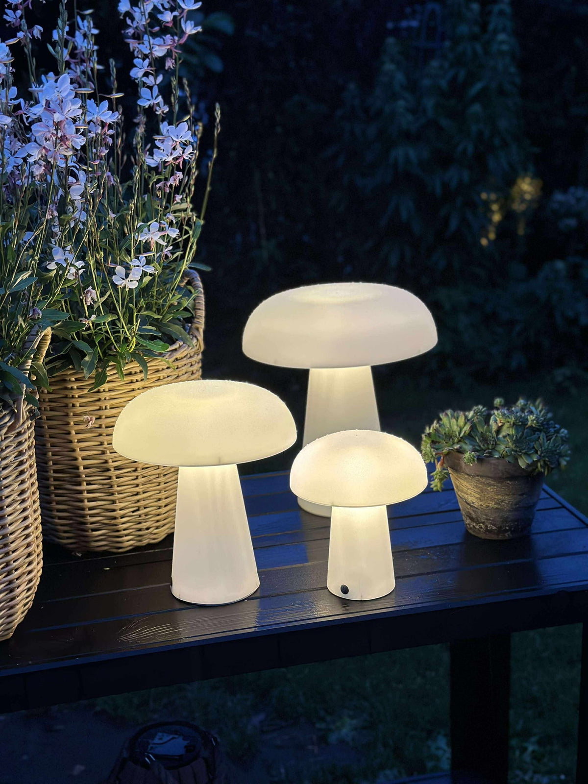 Mushroom rechargeable - XL