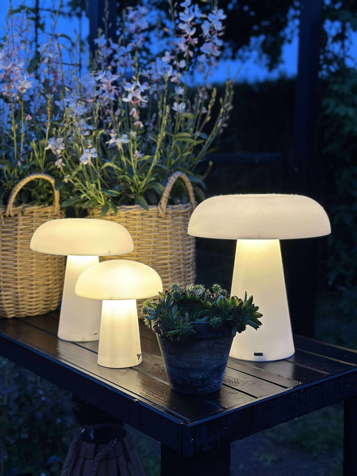 Mushroom rechargeable - Large