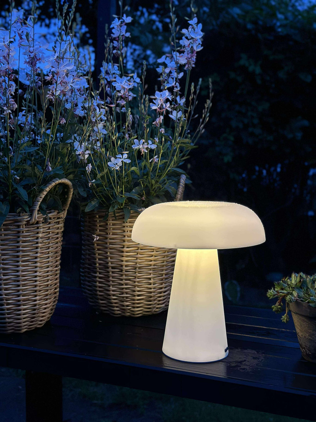 Mushroom rechargeable - Large