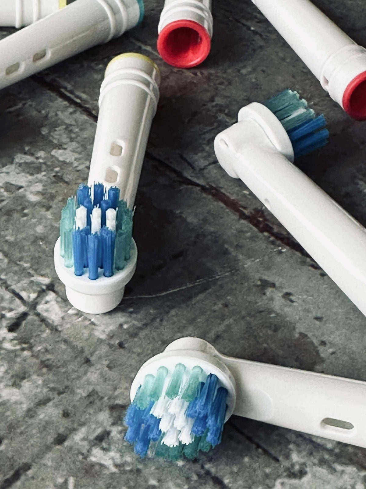 Têtes de brosse à dents