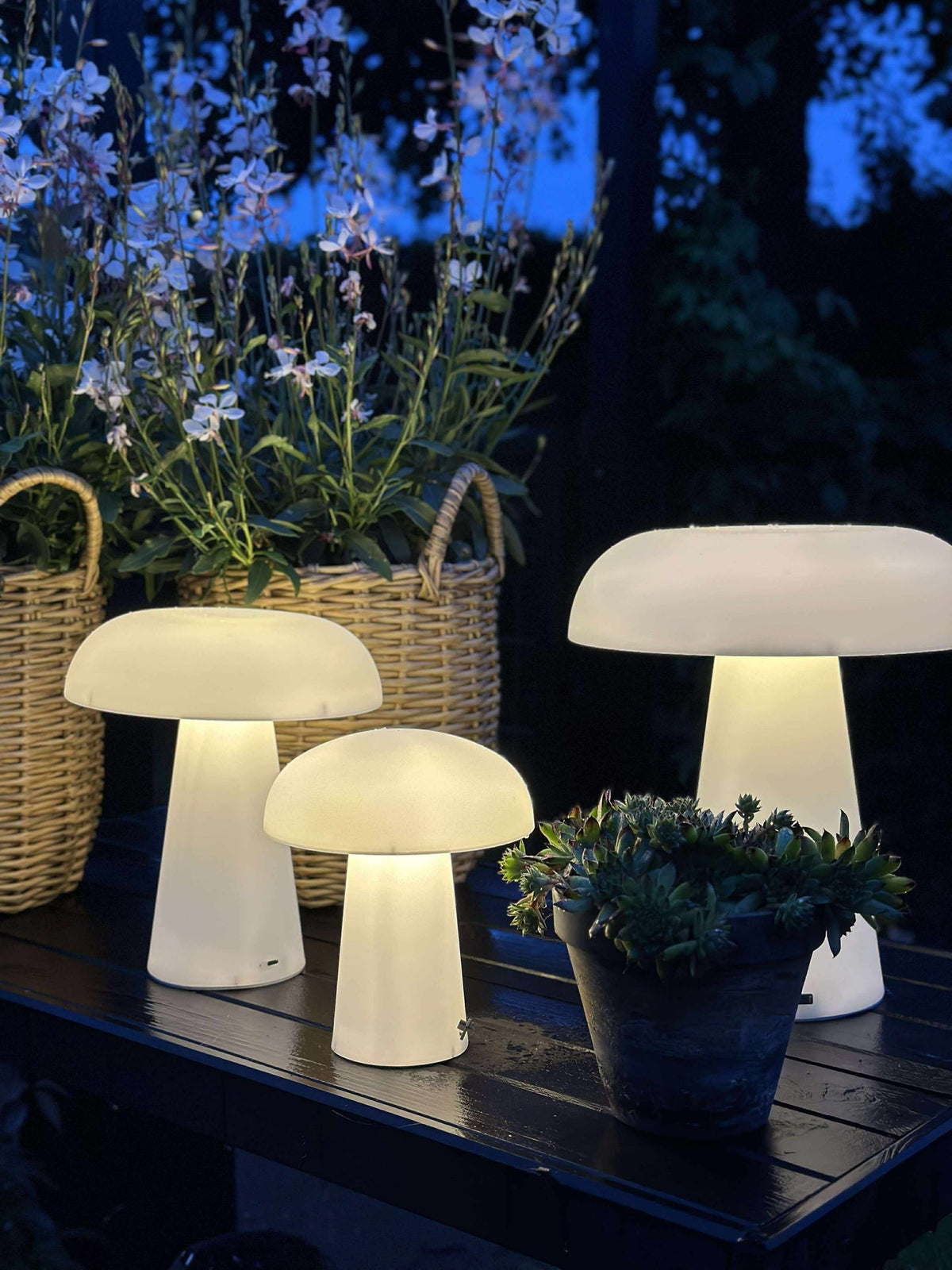 Mushroom rechargeable - Small
