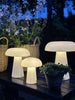 Mushroom rechargeable - Small