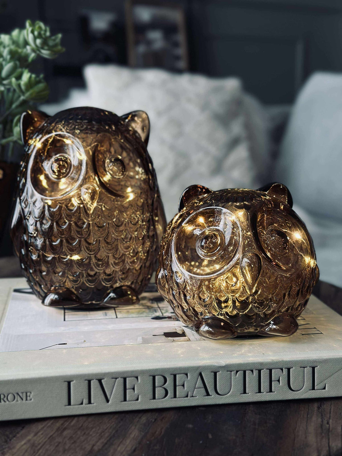 Hibou avec lumière LED et minuterie - Large