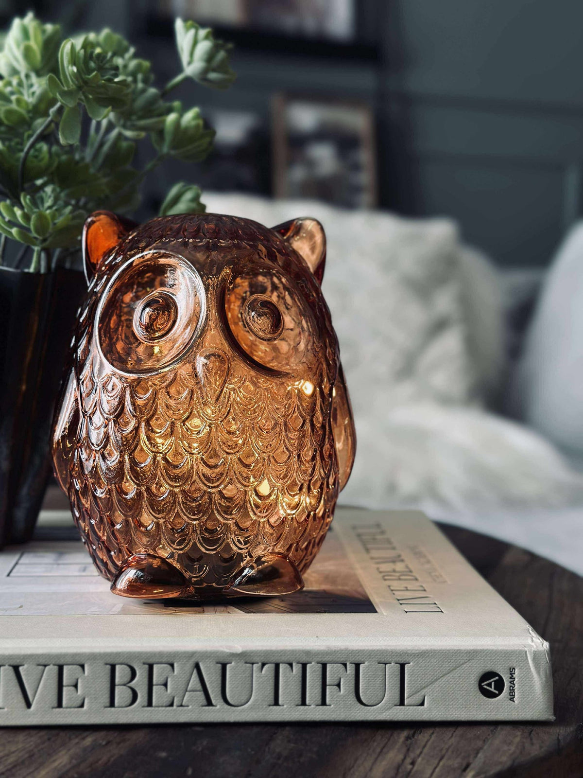 Hibou avec lumière LED et minuterie - Large