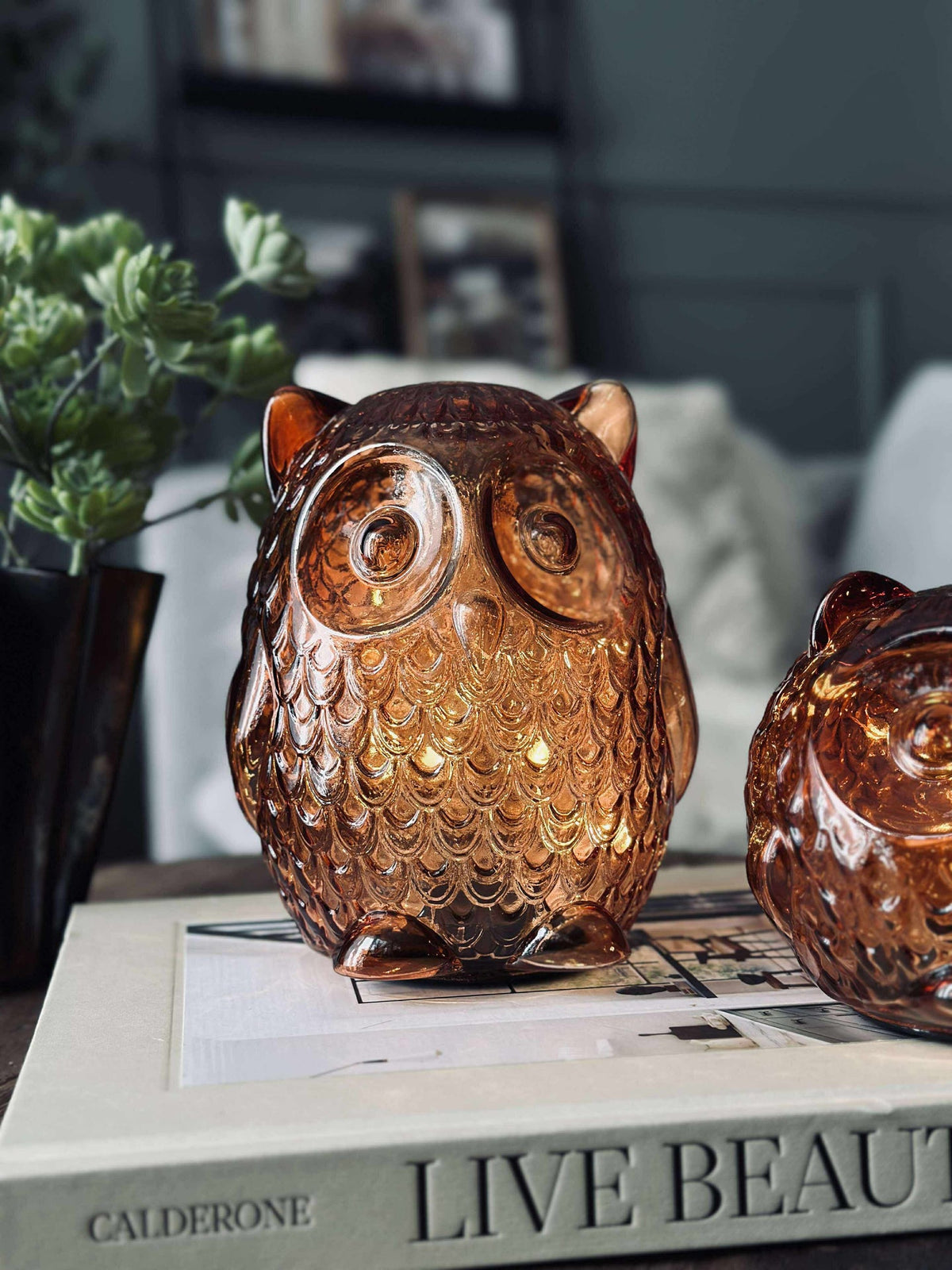 Hibou avec lumière LED et minuterie - Large