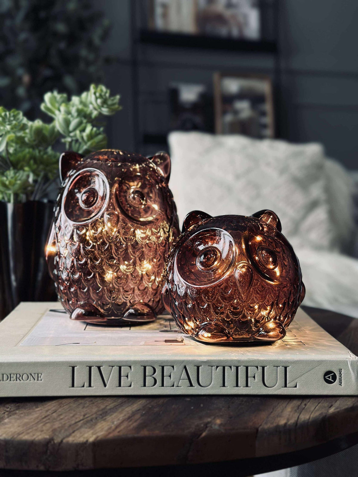 Hibou avec lumière LED et minuterie - Large
