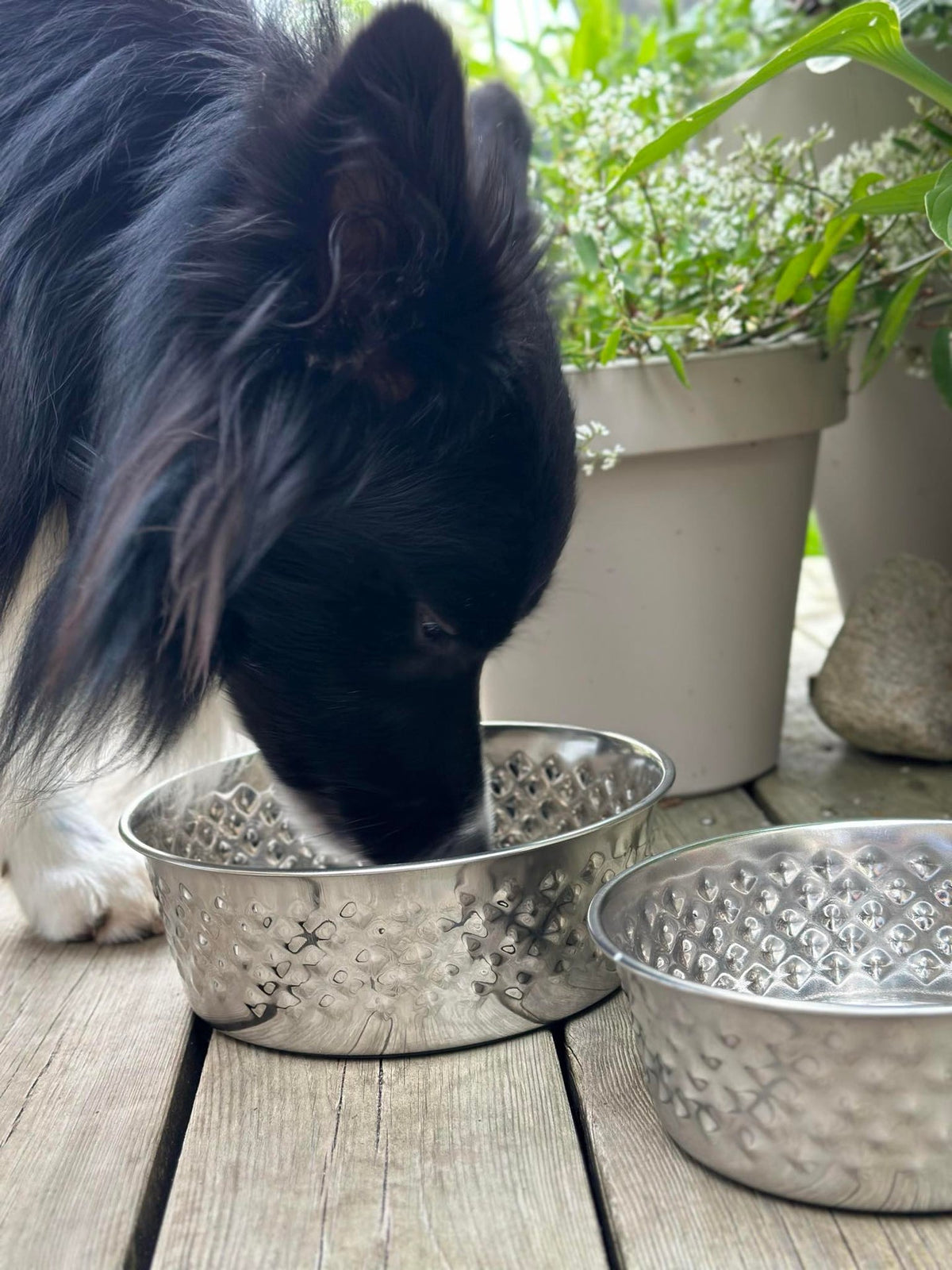 Gamelle pour chien en acier inoxydable - Large