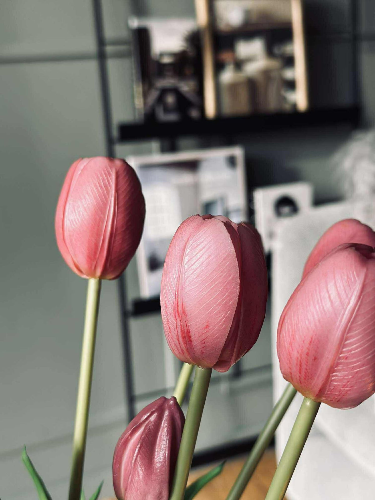 Tulipes – Plusieurs couleurs