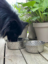 Gamelle pour chien Acier inoxydable - Moyenne