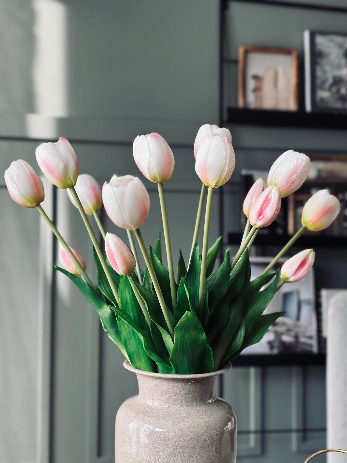 Tulipes – Plusieurs couleurs