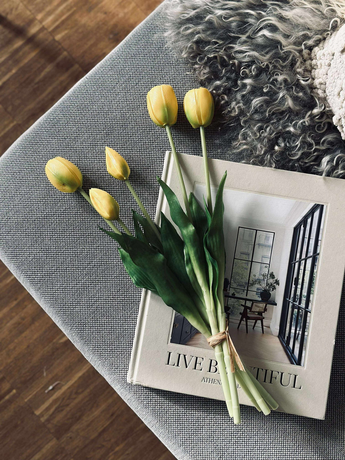 Tulipes – Plusieurs couleurs