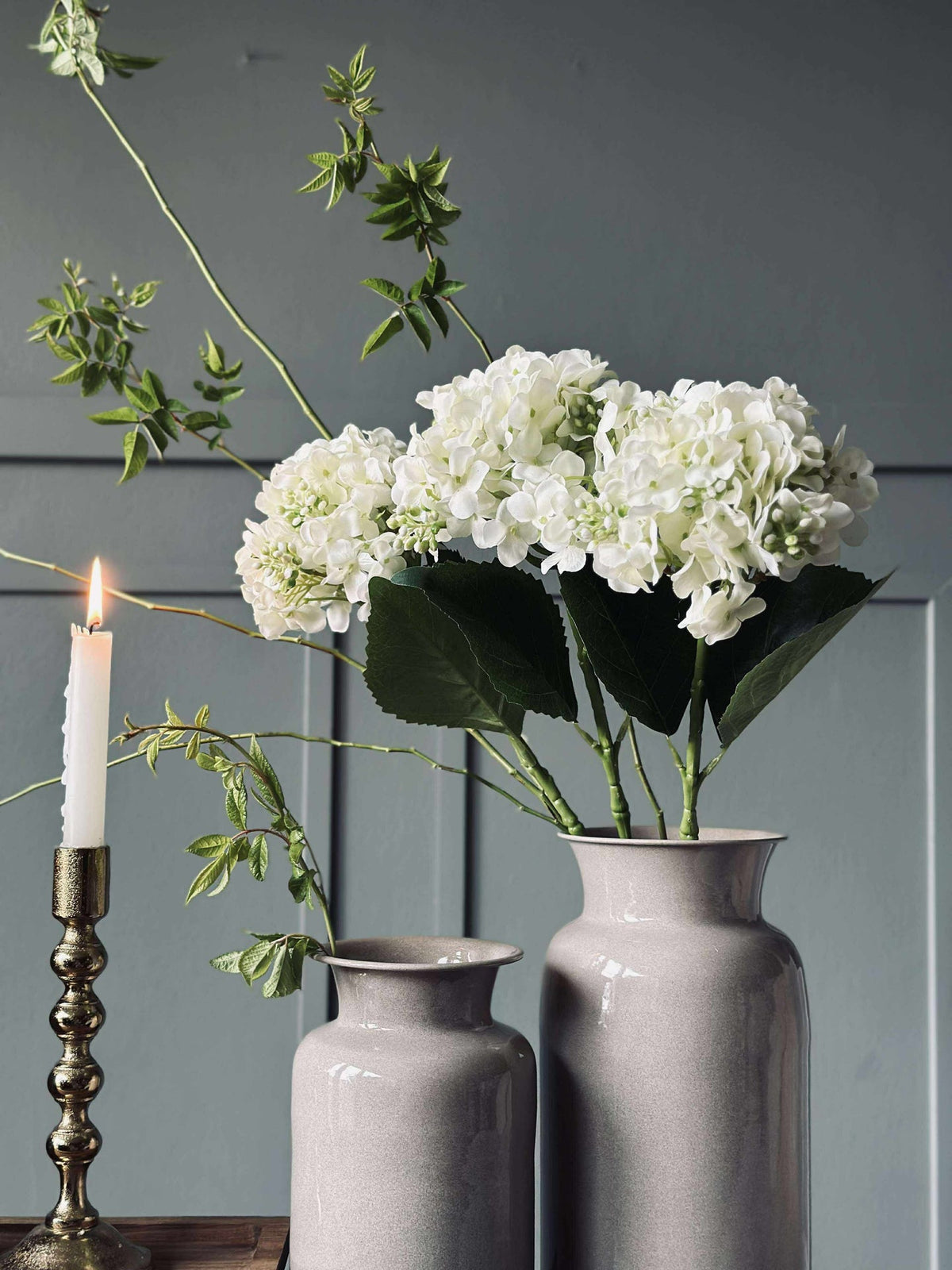 Hortensia blanc