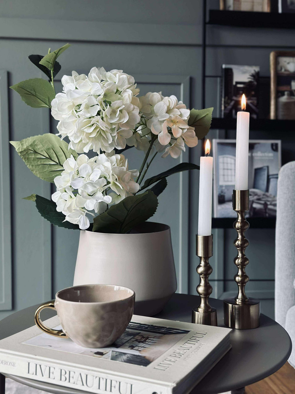 Hortensia en pot - Blanche
