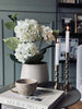 Hortensia en pot - Blanche