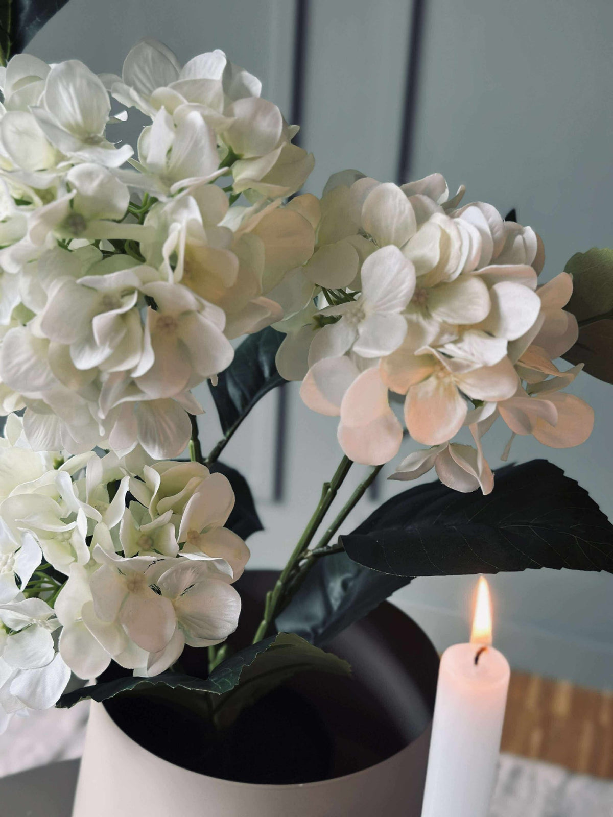 Hortensia en pot - Blanche