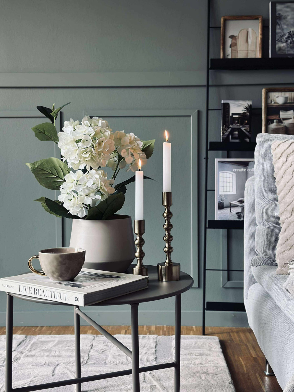 Hortensia en pot - Blanche