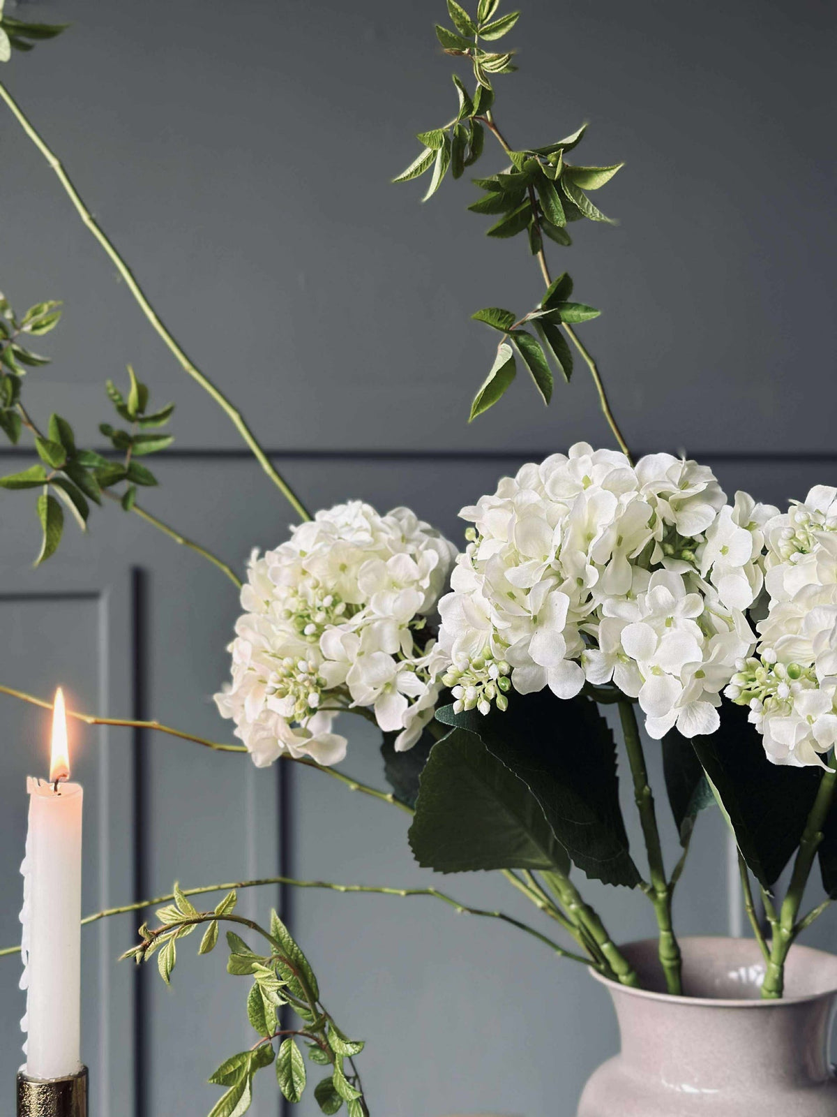 Hortensia blanc